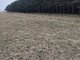 Parduodamas sklypas Klaipėdos rajono sav., Drevernoje, Nidos g. (2 nuotrauka)