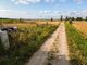 Parduodamas sklypas Kretingos rajono sav., Kiauleikiuose (18 nuotrauka)