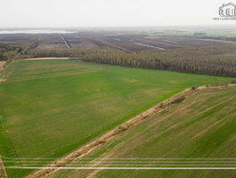 Parduodamas sklypas Šiaulių rajono sav., Vaikšnėgaloje