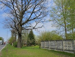 Parduodamas sklypas Panevėžyje, Pramonėse, Senamiesčio g.