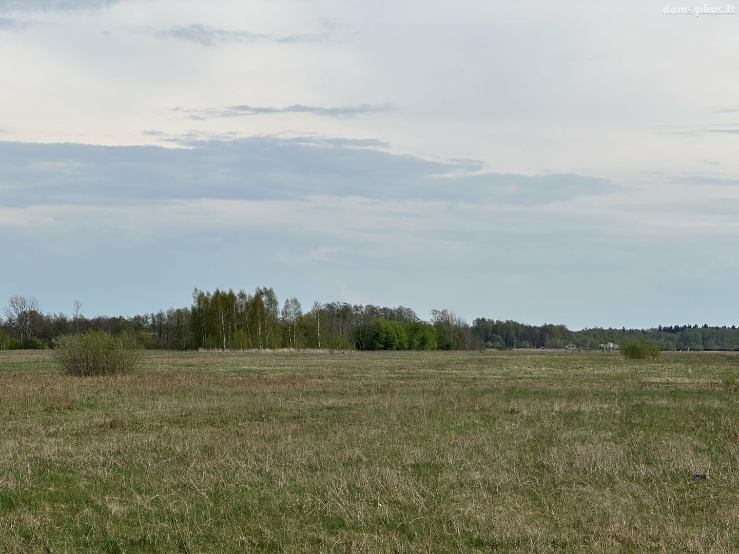 Parduodamas sklypas Klaipėdos rajono sav., Radailiuose