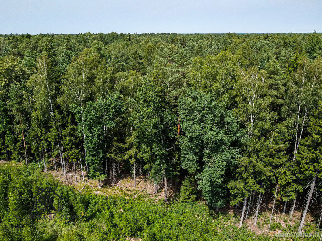 Parduodamas sklypas Šilutės rajono sav., Paulaičiuose