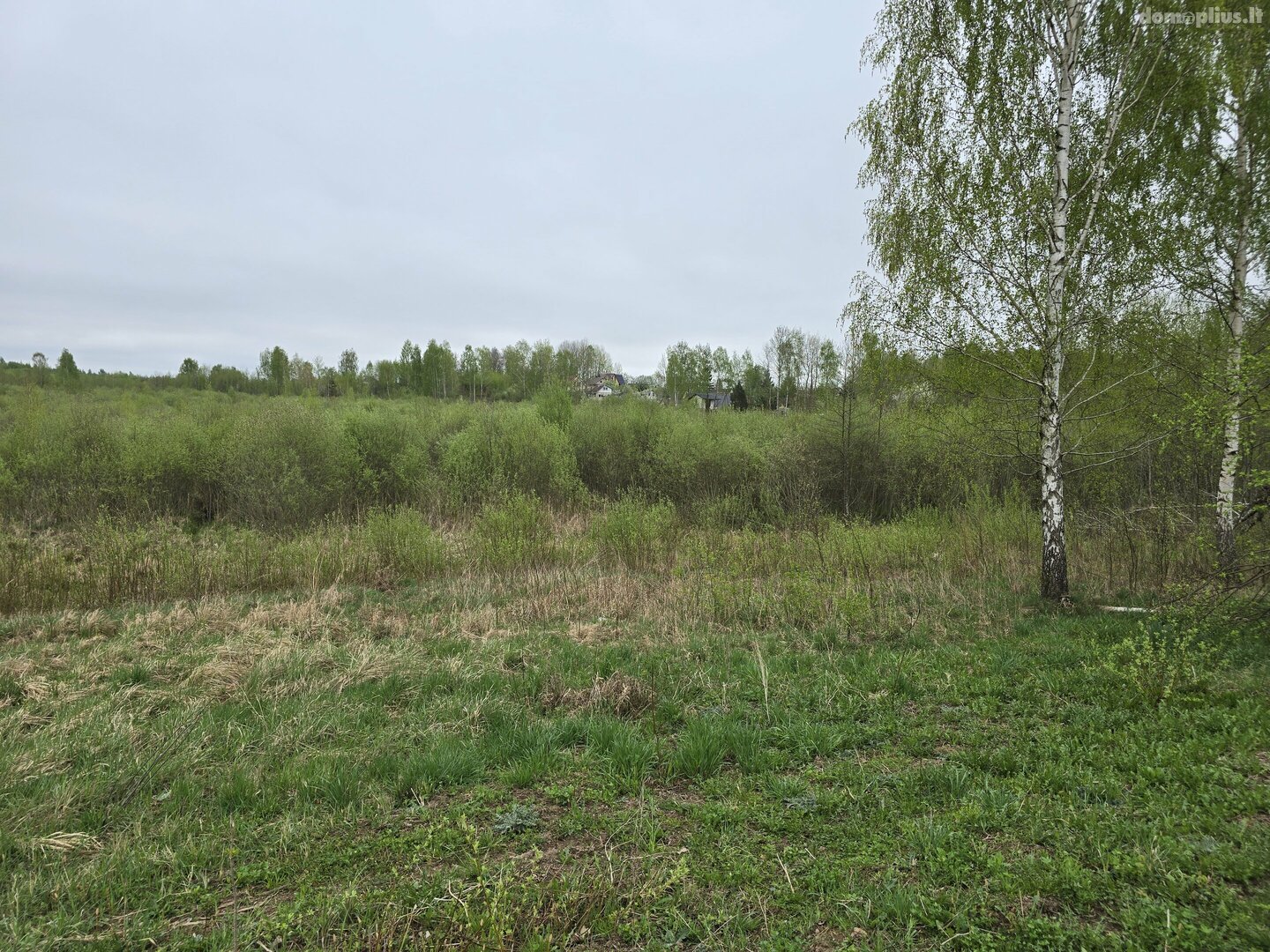 Parduodamas sklypas Vilniaus rajono sav., Staikiškėse