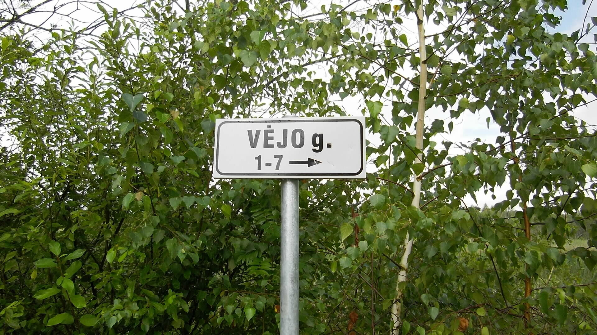 Parduodamas sklypas Vilniaus rajono sav., Staikiškėse