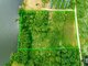 Land for sale Vilniaus rajono sav., Tarailiškėse (7 picture)