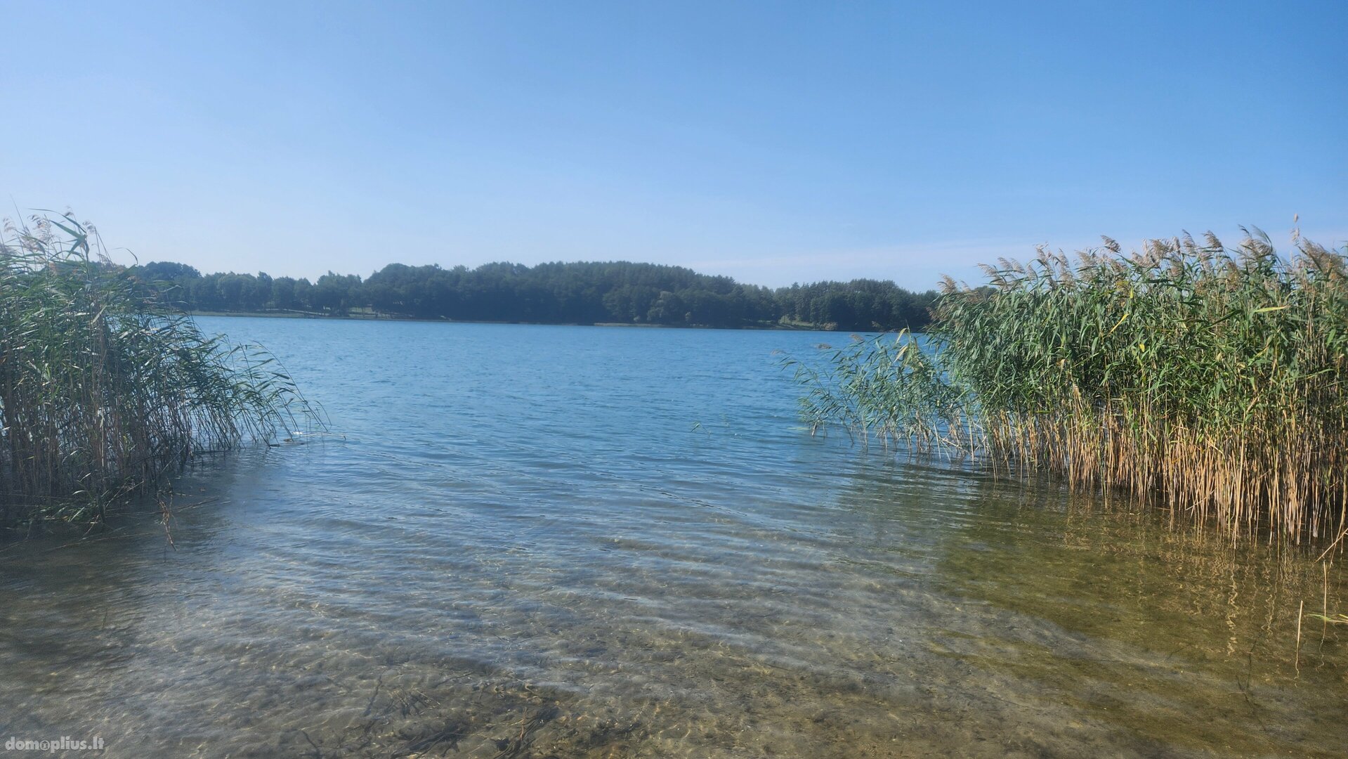 Parduodamas sklypas Lazdijų rajono sav., Galstuose