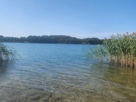 Land Lazdijų rajono sav., Galstuose