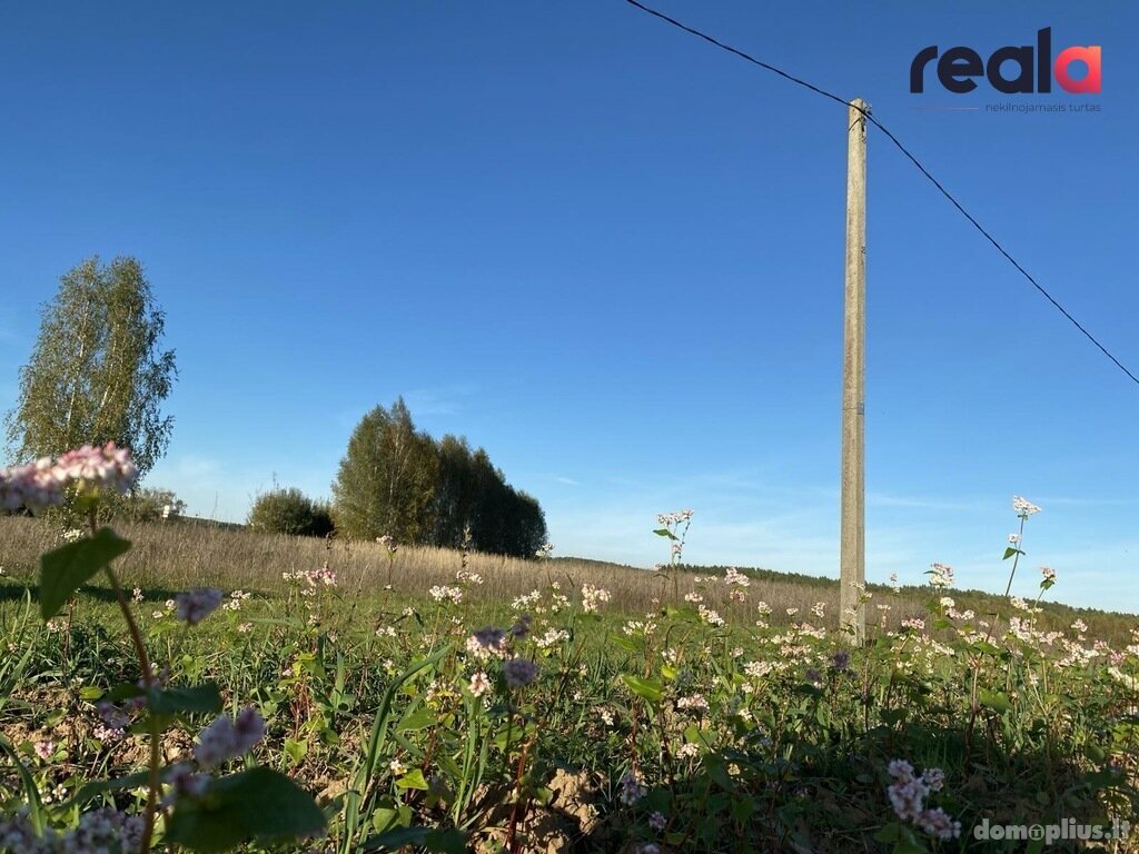Участок Trakų rajono sav., Gudašiuose