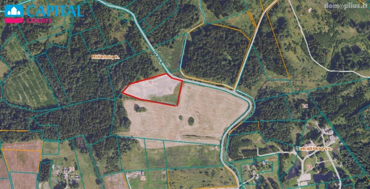 Land for sale Vilniaus rajono sav.