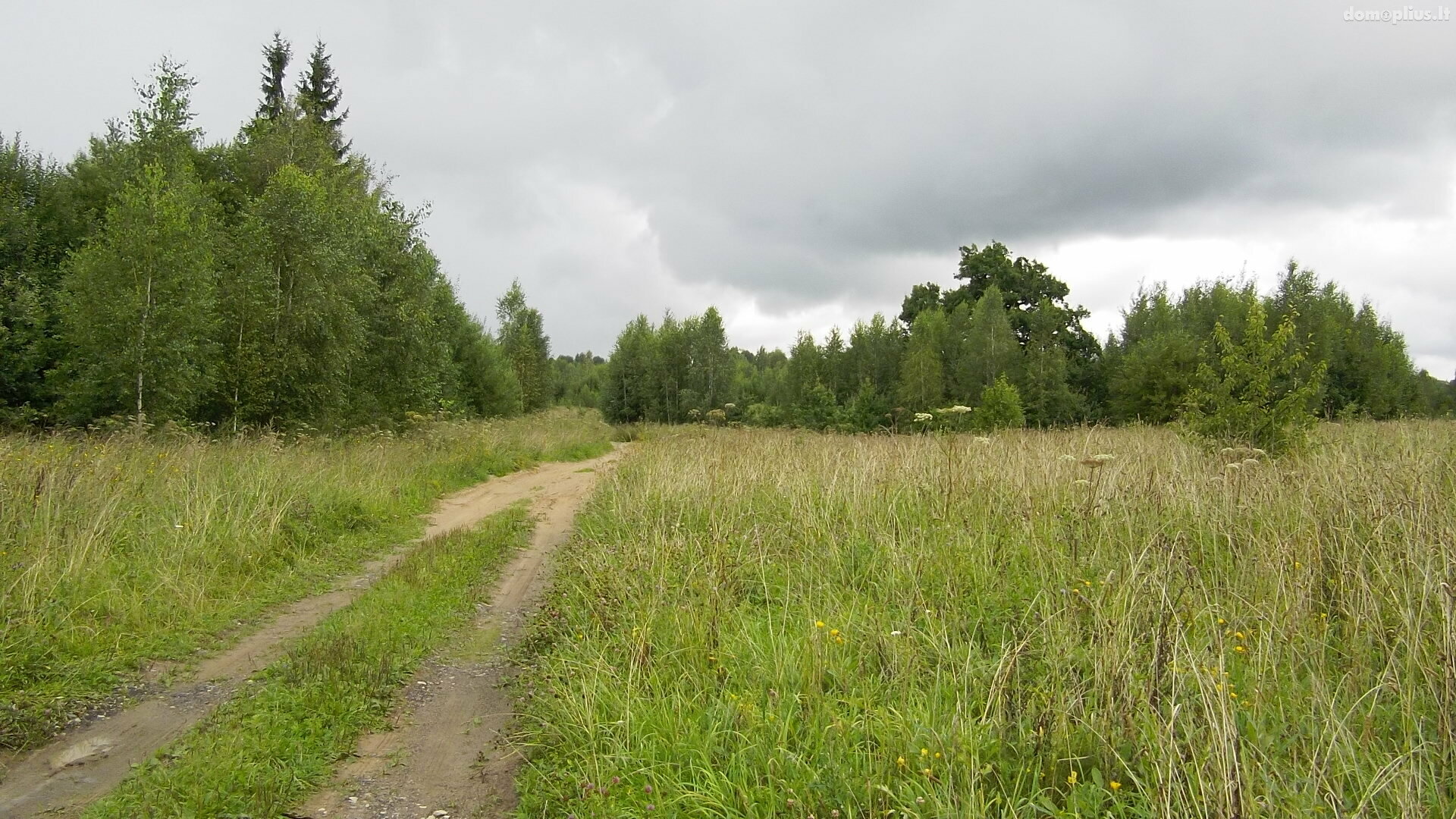 Parduodamas sklypas Vilniaus rajono sav., Brinkiškėse