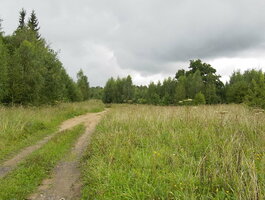 Parduodamas sklypas Vilniaus rajono sav., Brinkiškėse