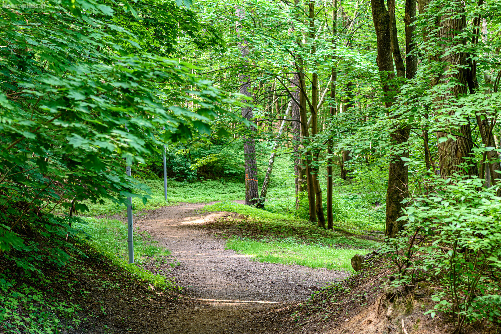 Parduodamas sklypas Vilniuje, Antakalnyje, Gailestingųjų Seserų g.