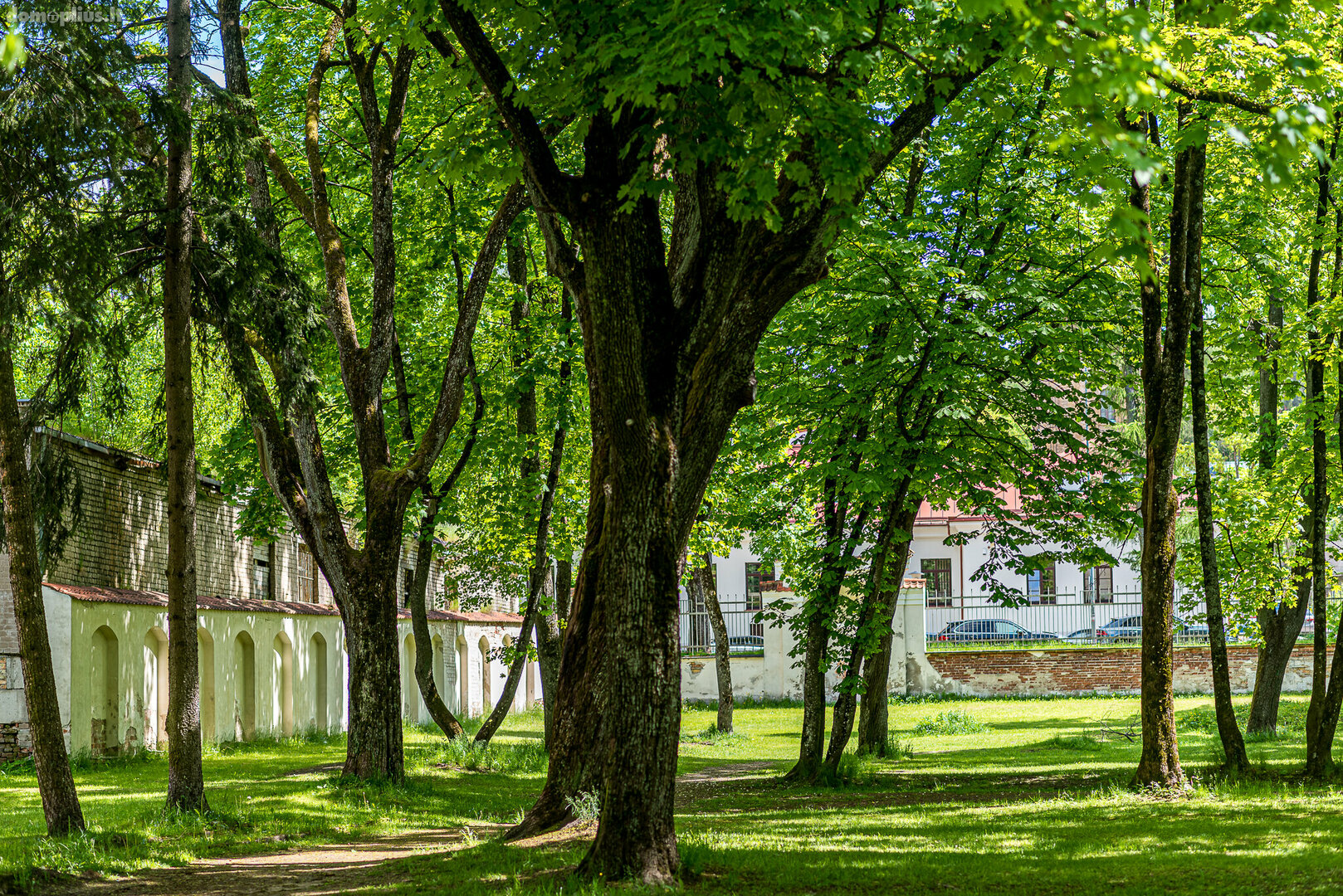 Parduodamas sklypas Vilniuje, Antakalnyje, Gailestingųjų Seserų g.