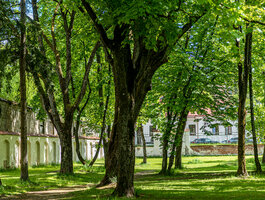 Parduodamas sklypas Vilniuje, Antakalnyje, Gailestingųjų Seserų g.