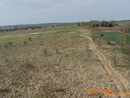 Sklypas Vilniaus rajono sav., Užukenėje, Minsko pl.