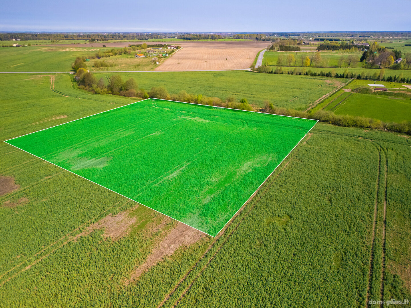 Land for sale Klaipėdos rajono sav., Kisiniuose, Kisupės g.