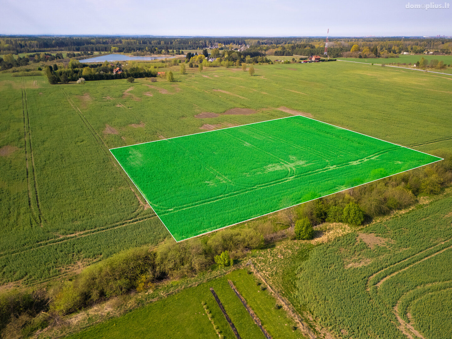 Land for sale Klaipėdos rajono sav., Kisiniuose, Kisupės g.
