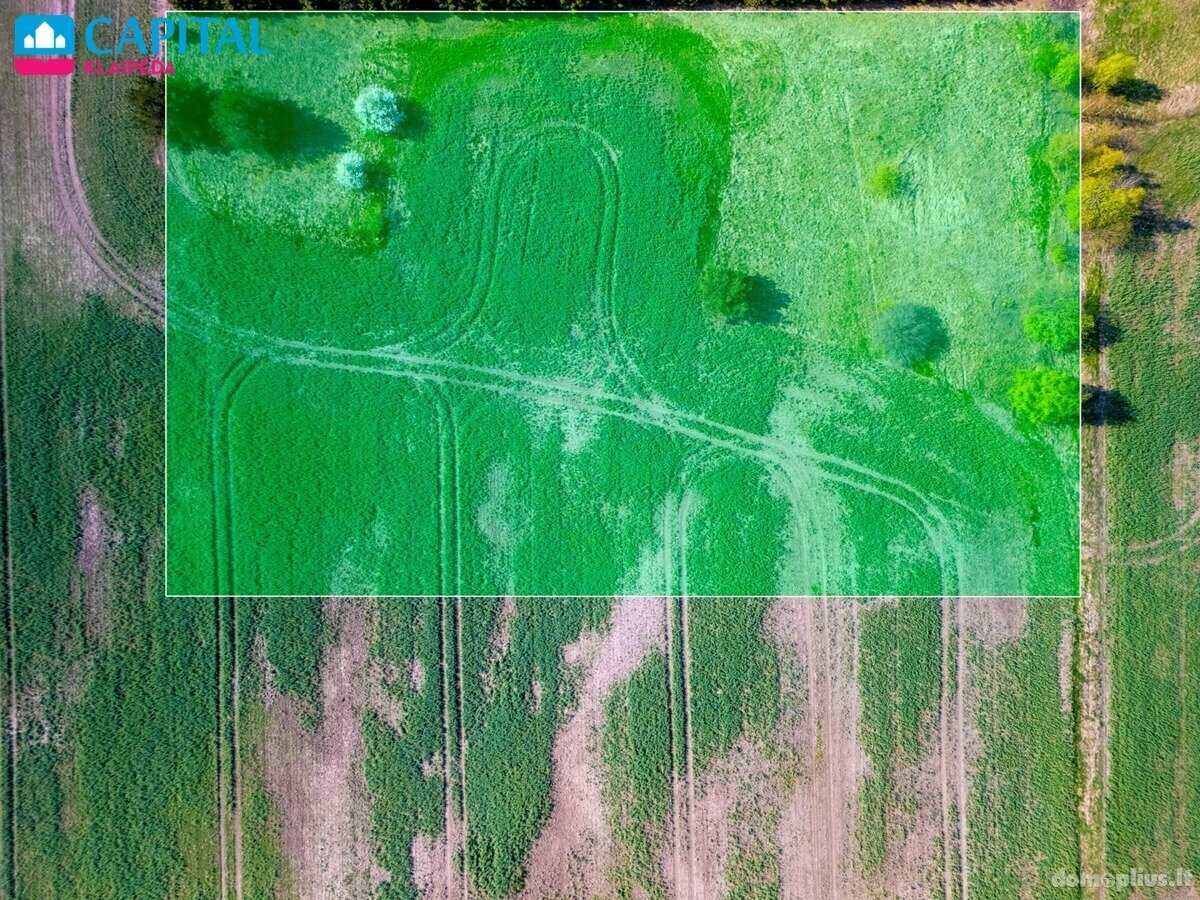Land for sale Klaipėdos rajono sav., Kisiniuose