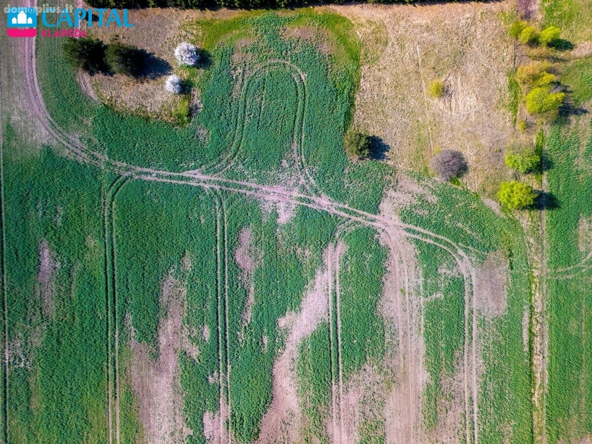 Land for sale Klaipėdos rajono sav., Kisiniuose