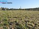Land for sale Vilniaus rajono sav., Nemenčinėje, Bažnyčios g. (12 picture)