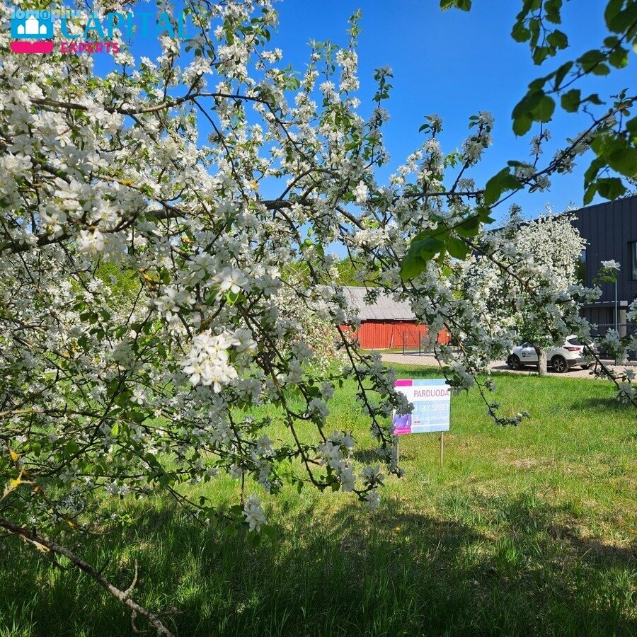 Parduodamas sklypas Vilniaus rajono sav., Miškonyse