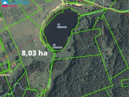 Land for sale Ignalinos rajono sav., Antagavėje