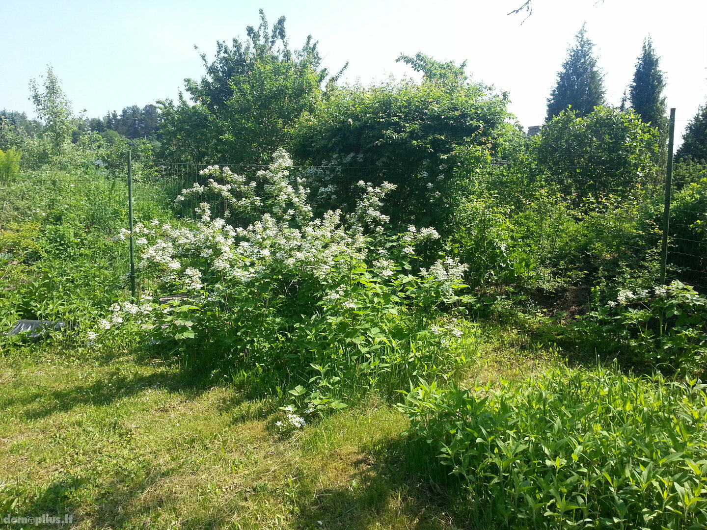 Land for sale Vilniuje, Bajoruose, Bajorų Sodų 17-oji g.