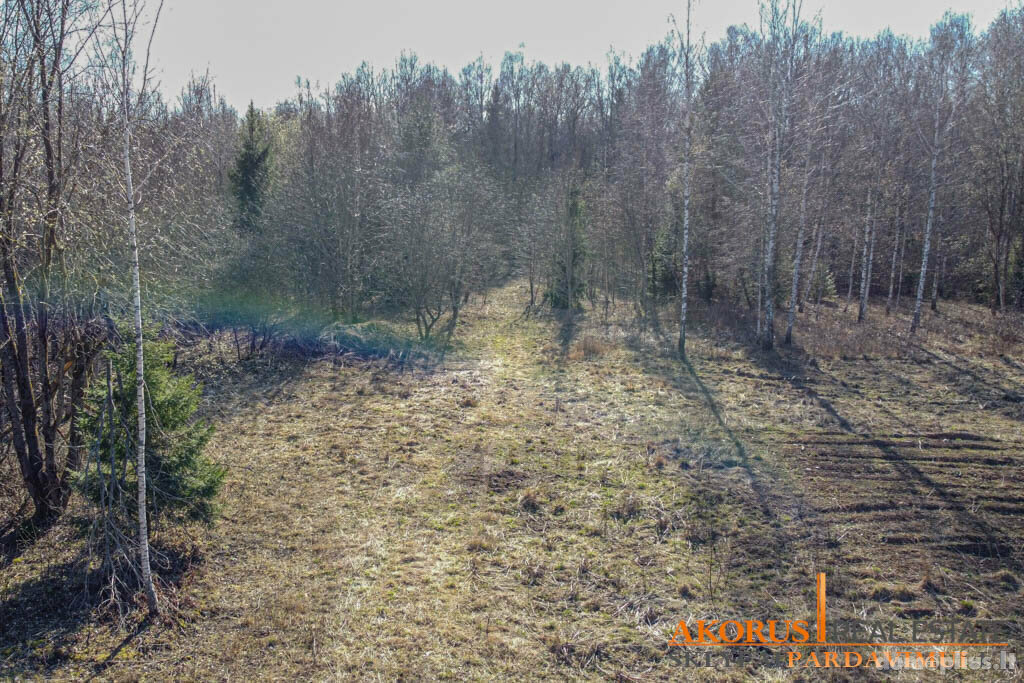 Parduodamas sklypas Vilniaus rajono sav., Akmeniškėse, Baravykų 6-oji g.