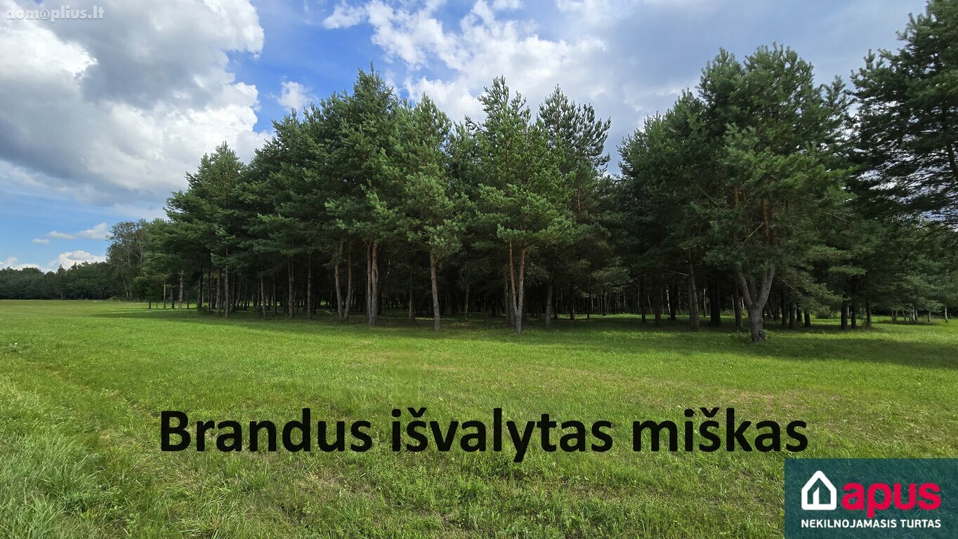 Parduodamas sklypas Širvintų rajono sav., Juodkos