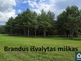 Parduodamas sklypas Širvintų rajono sav., Juodkos