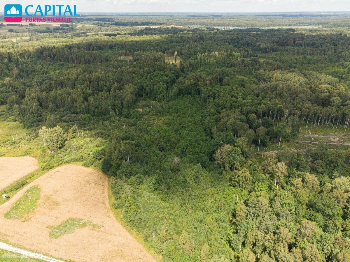Parduodamas sklypas Vilniaus rajono sav., Barzdžiūnuose