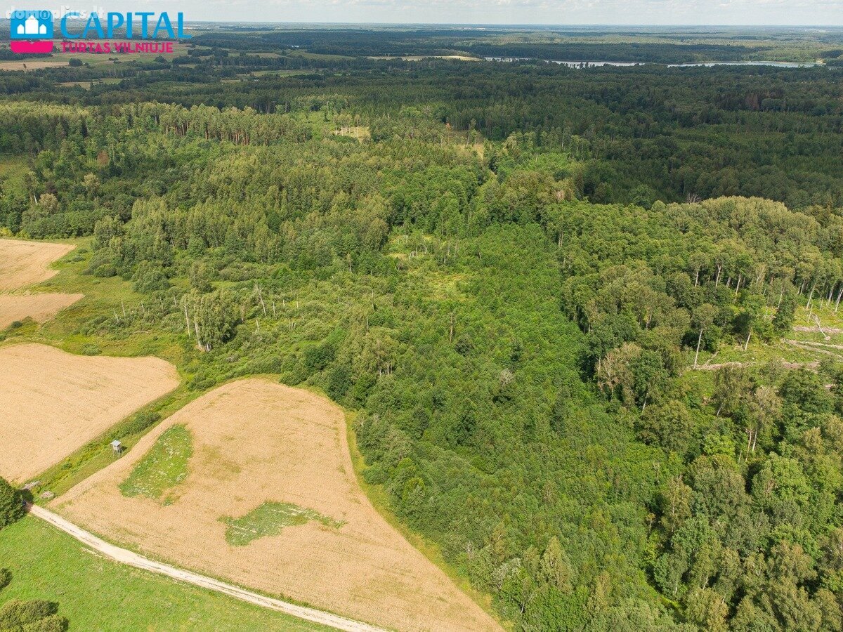Parduodamas sklypas Vilniaus rajono sav., Barzdžiūnuose