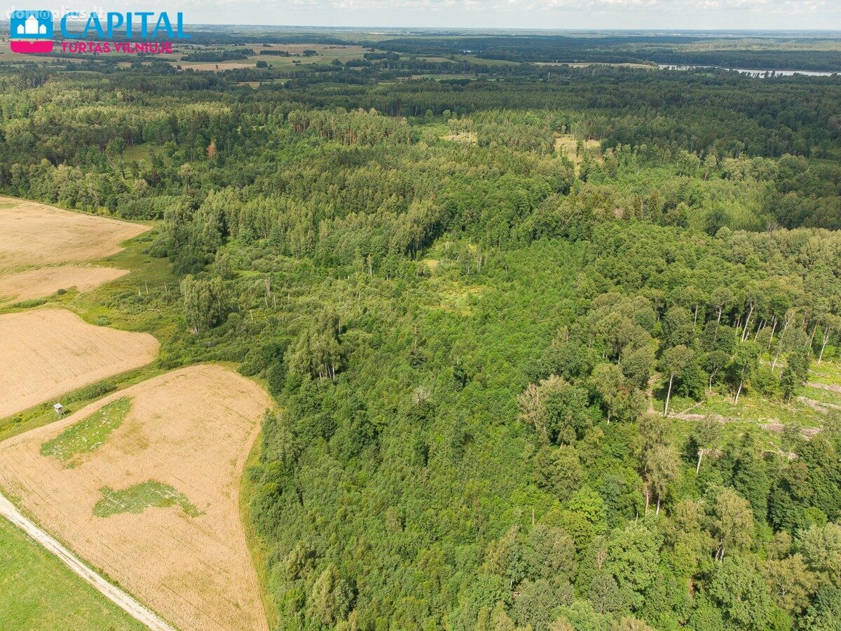 Parduodamas sklypas Vilniaus rajono sav., Barzdžiūnuose