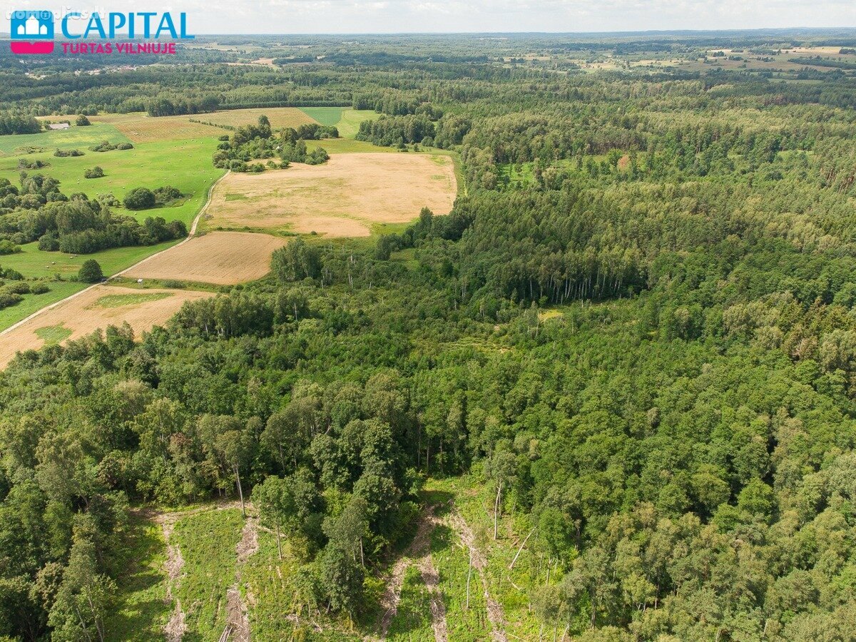 Parduodamas sklypas Vilniaus rajono sav., Barzdžiūnuose