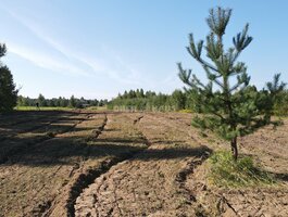 Land Vilniaus rajono sav., Lindiniškėse