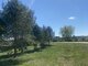 Parduodamas sklypas Druskininkų sav., Jaskonyse, Vienkiemių g. (1 nuotrauka)