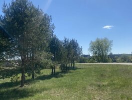 Land Druskininkų sav., Jaskonyse, Vienkiemių g.