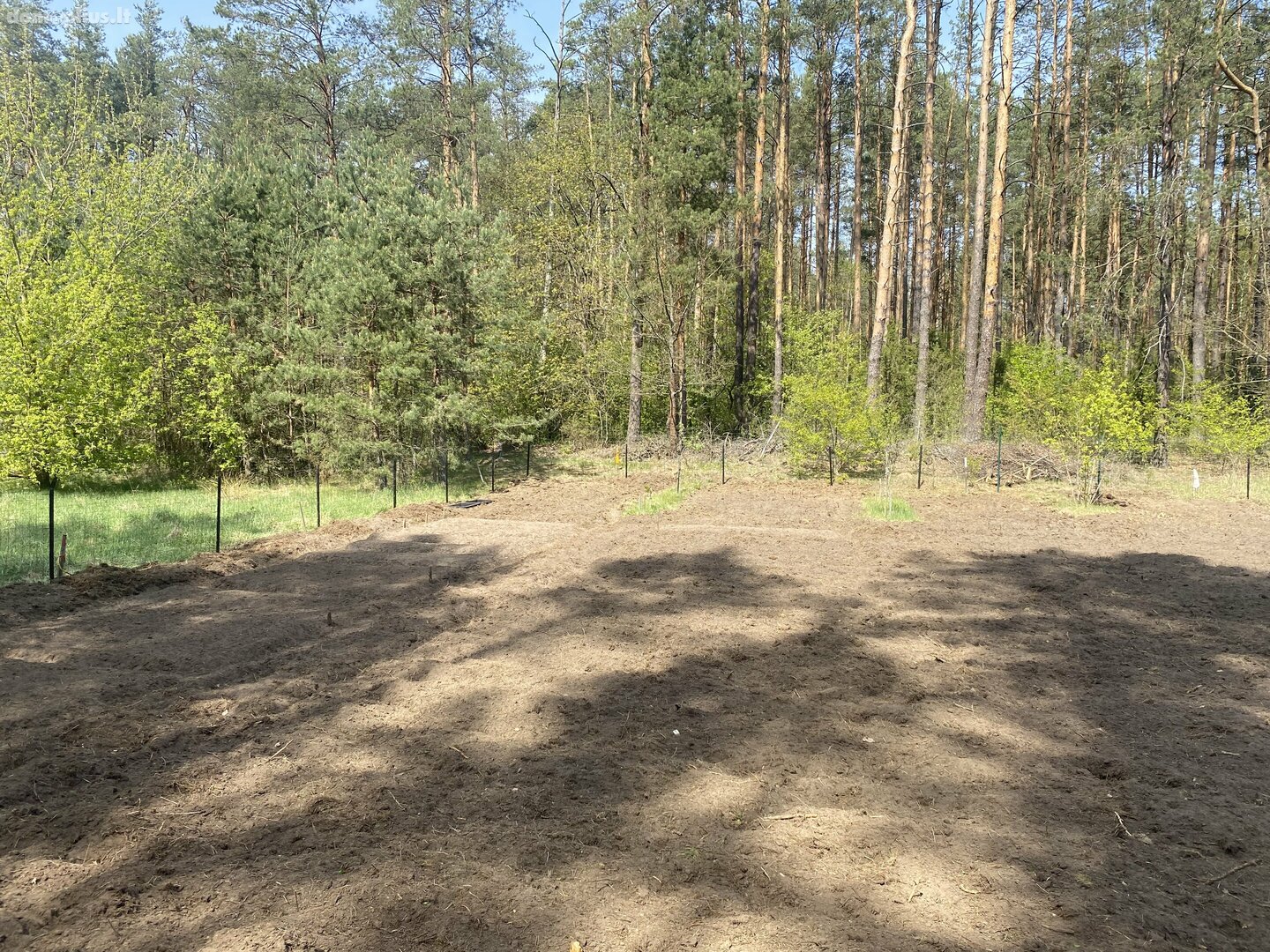 Parduodamas sklypas Druskininkų sav., Naujasodėje