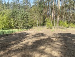 Land Druskininkų sav., Naujasodėje