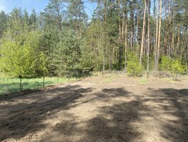 Parduodamas sklypas Druskininkų sav., Naujasodėje