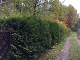 Land for sale Visagino sav., Visagine, Draugystės g.