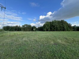 Parduodamas sklypas Kupiškio rajono sav., Ilgučiuose