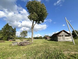 Parduodamas sklypas Kupiškio rajono sav., Ilgučiuose
