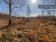 Land for sale Vilniaus rajono sav., Didžiasalyje, Didžiasalio g. (10 picture)