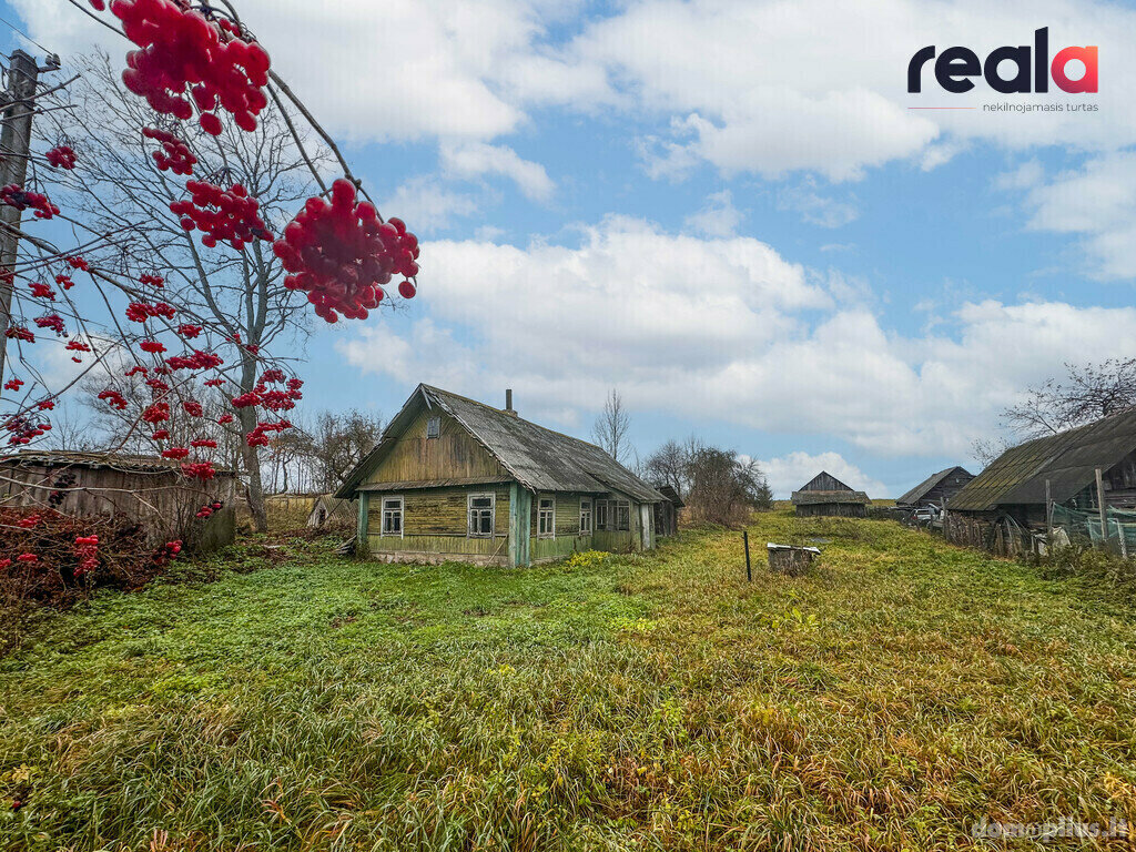Участок Šalčininkų rajono sav., Žižmuose