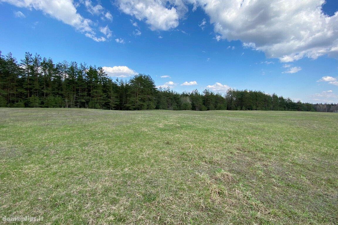Parduodamas sklypas Trakų rajono sav., Liepynuose