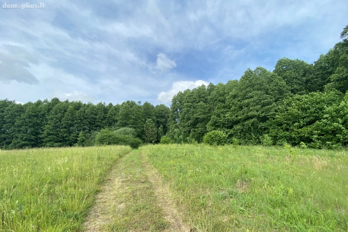 Parduodamas sklypas Trakų rajono sav., Kozelkiškėse