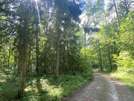 Parduodamas sklypas Trakų rajono sav., Lausgeniuose