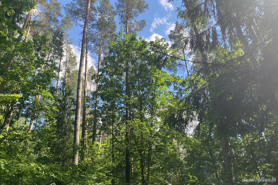 Parduodamas sklypas Trakų rajono sav., Lausgeniuose