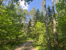 Parduodamas sklypas Trakų rajono sav., Lausgeniuose